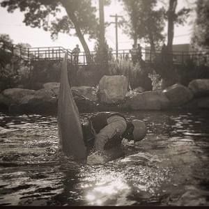 Meet your Posher, Neil